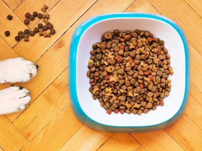 Vegan Pet Food Dog Stew